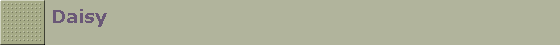 Daisy
