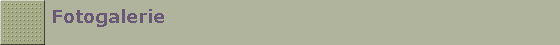Fotogalerie