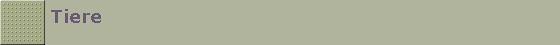 Tiere
